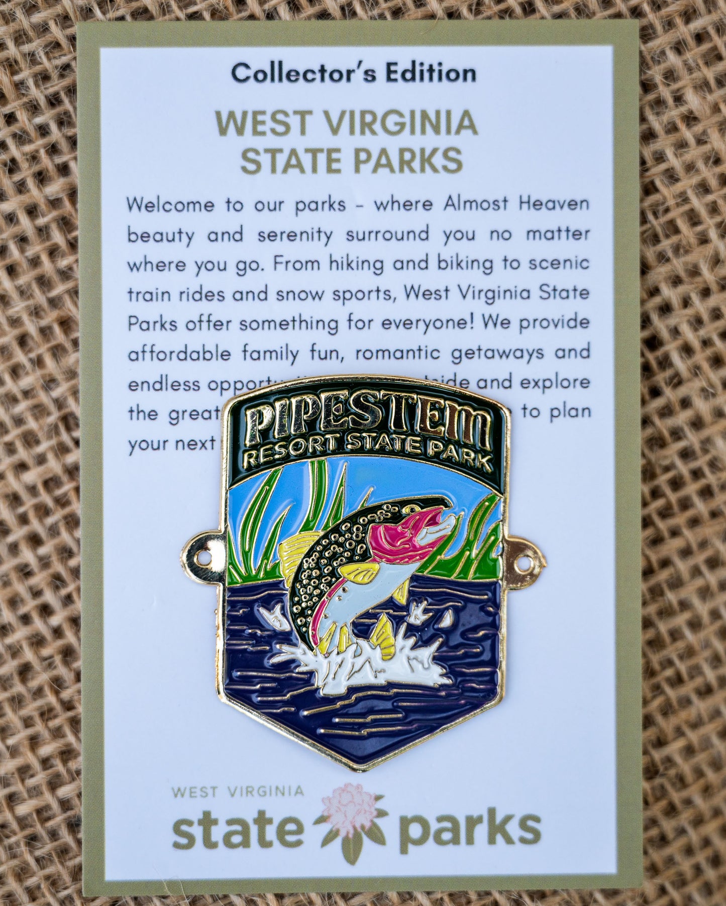 Pipestem Resort State Park Collector's Jumping Trout Edition Enamel Medallion