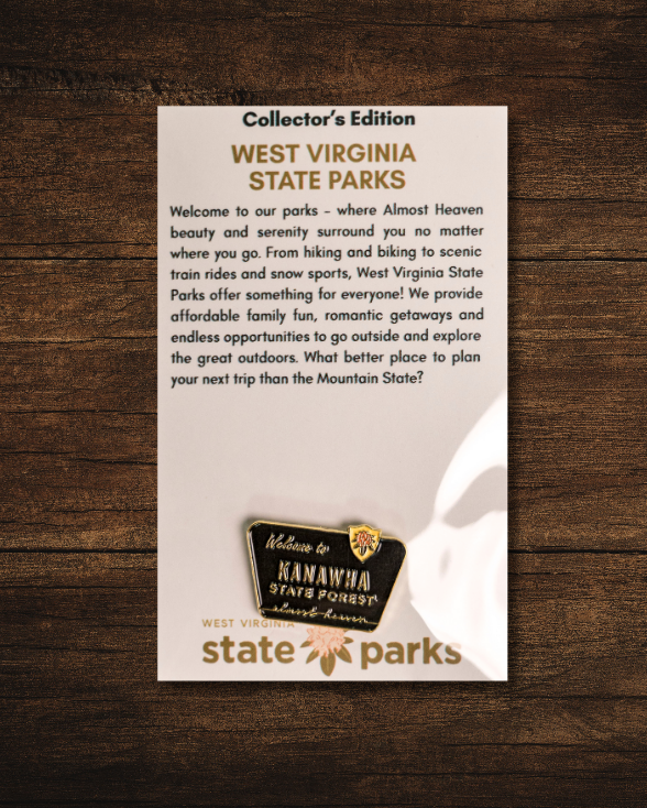 Welcome to State Park Pin