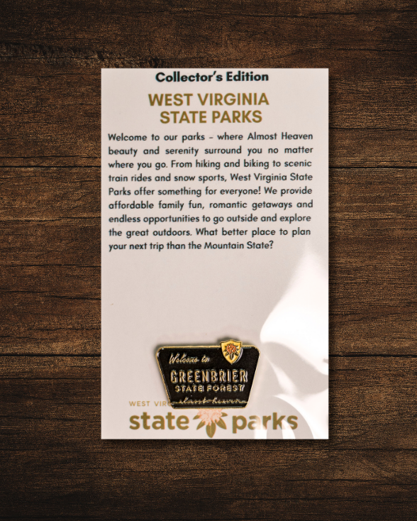 Welcome to State Park Pin