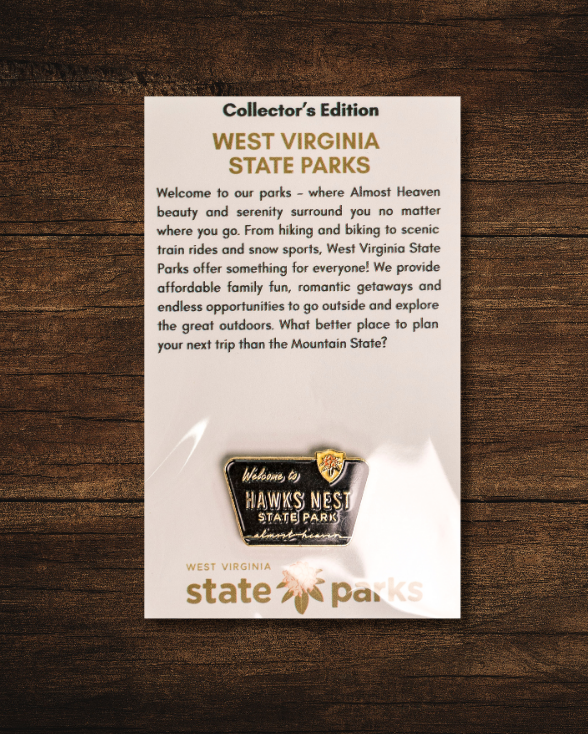 Welcome to State Park Pin