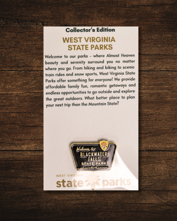 Welcome to State Park Pin