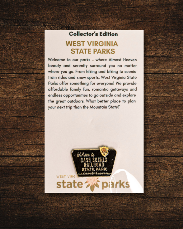 Welcome to State Park Pin