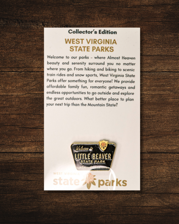 Welcome to State Park Pin