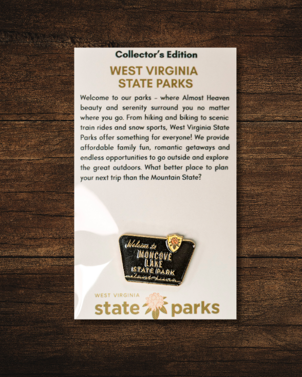 Welcome to State Park Pin