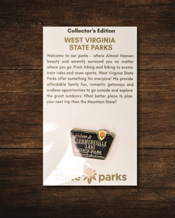 Welcome to State Park Pin
