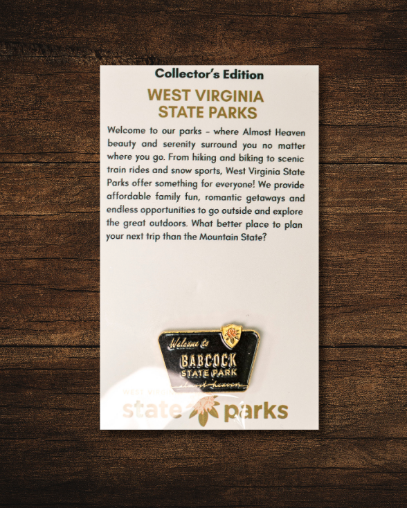 Welcome to State Park Pin