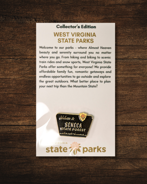 Welcome to State Park Pin