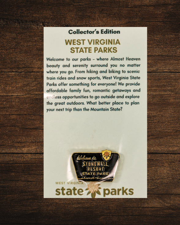 Welcome to State Park Pin