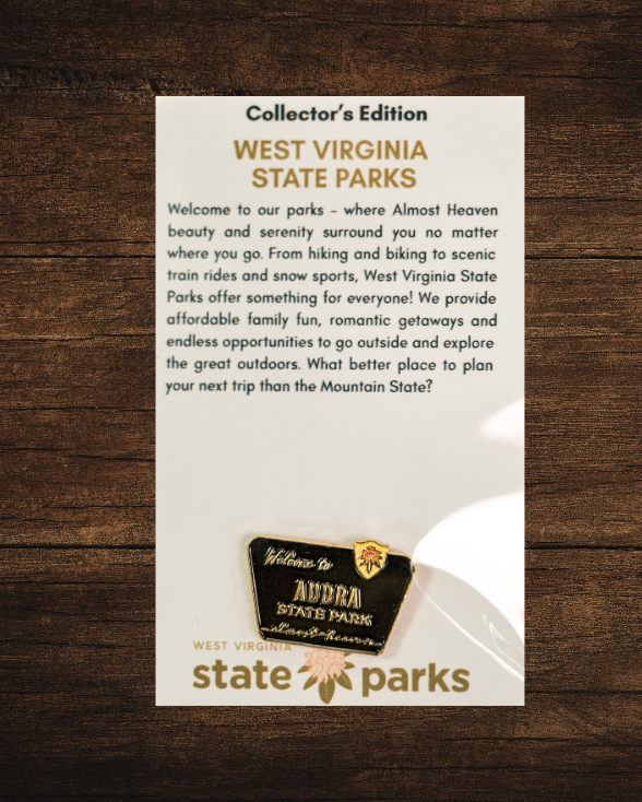 Welcome to State Park Pin