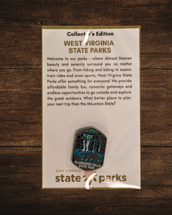 Blackwater Falls State Park Collector's Bear Edition Enamel Pin