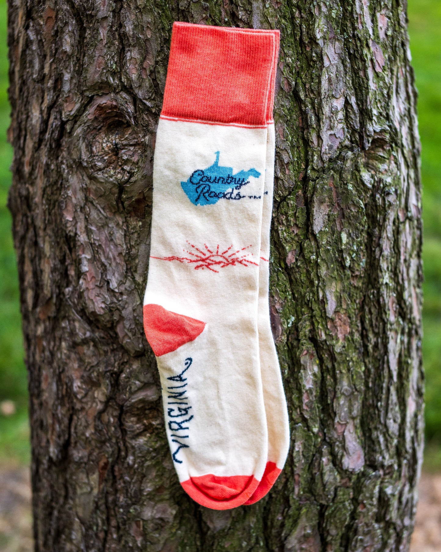 Country Roads Cotton Crew Socks