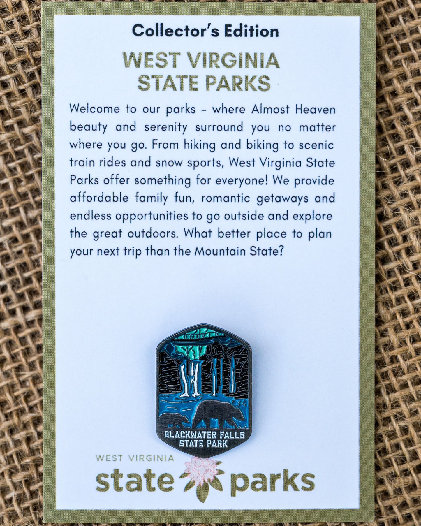 Blackwater Falls State Park Collector's Bear Edition Enamel Pin