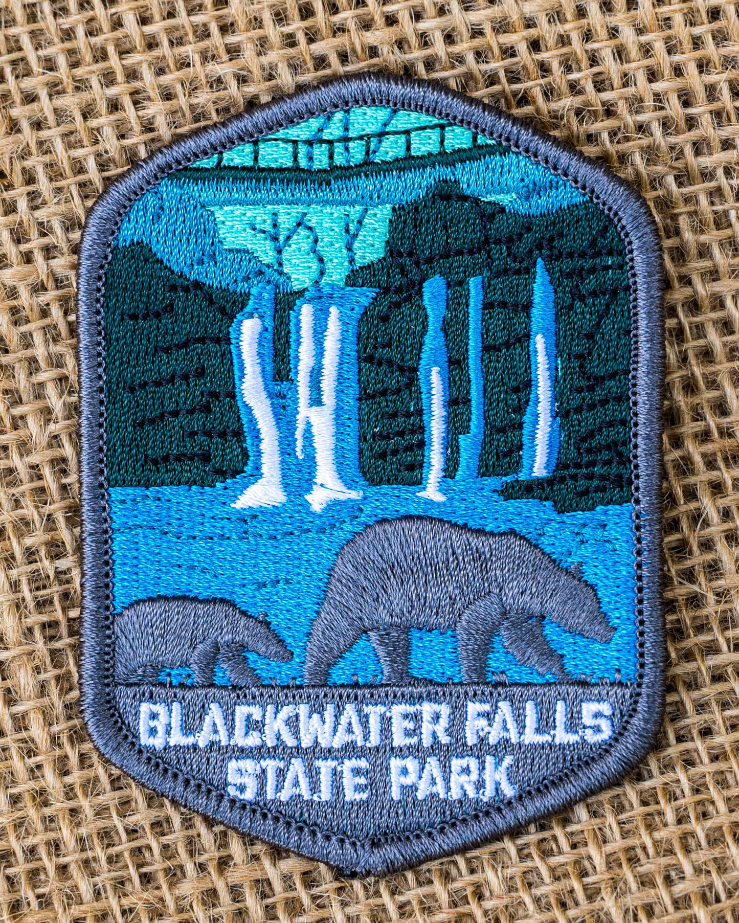 Blackwater Falls State Park Collector's Bear Edition Patch
