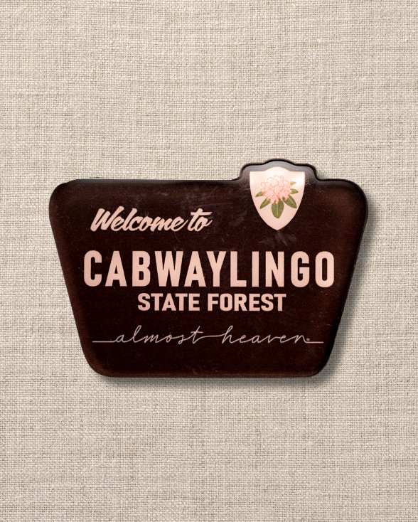 Welcome to State Park Magnet