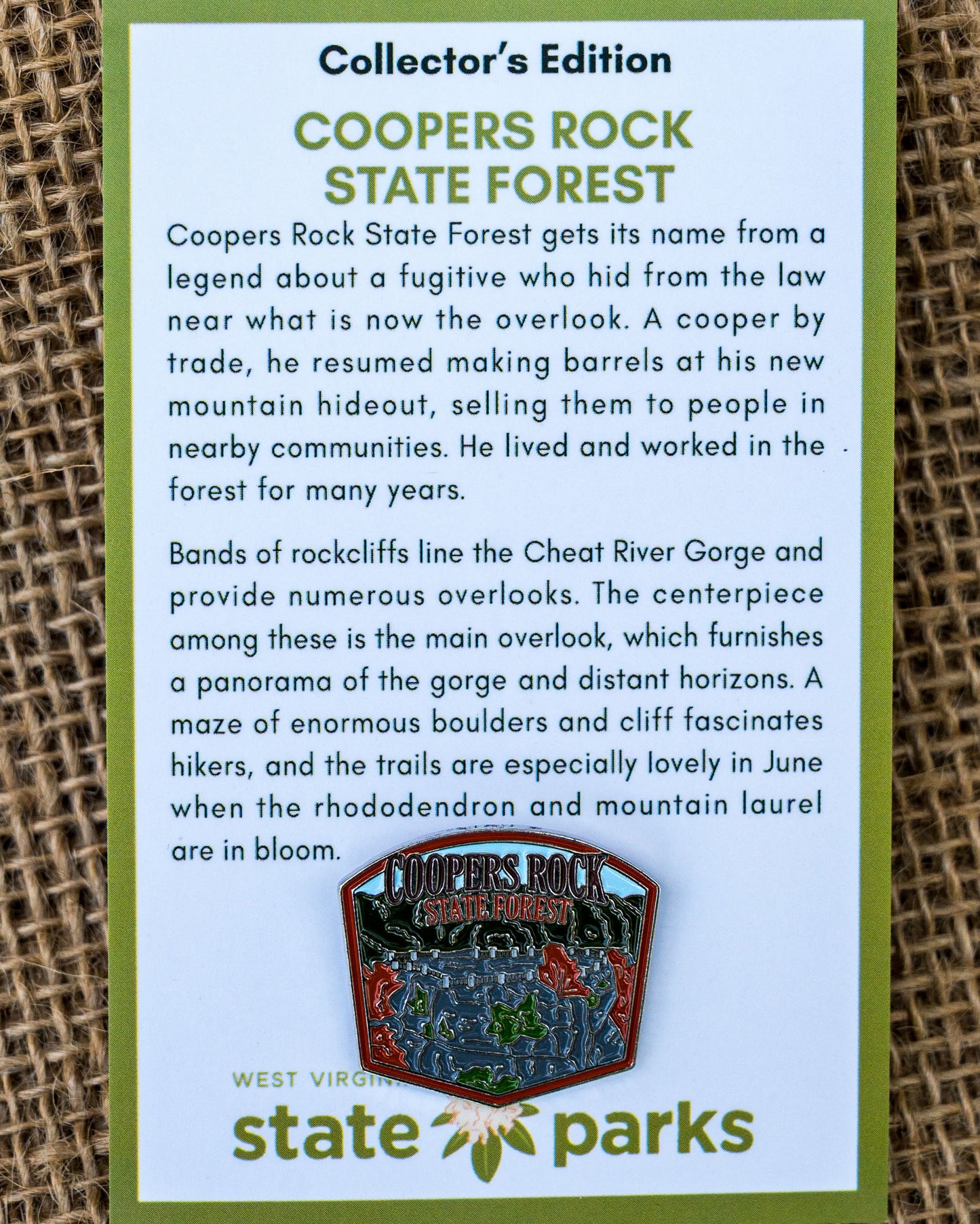 Coopers Rock State Forest Collector's Overlook Edition Enamel Pin