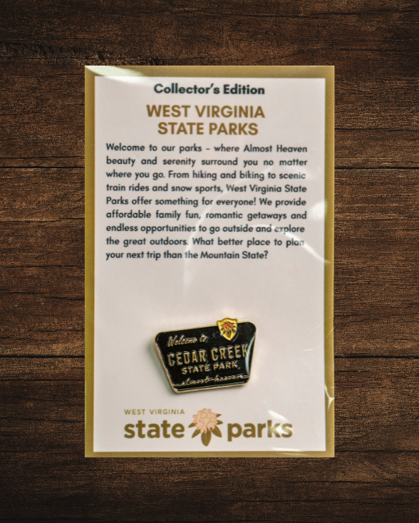 Welcome to State Park Pin