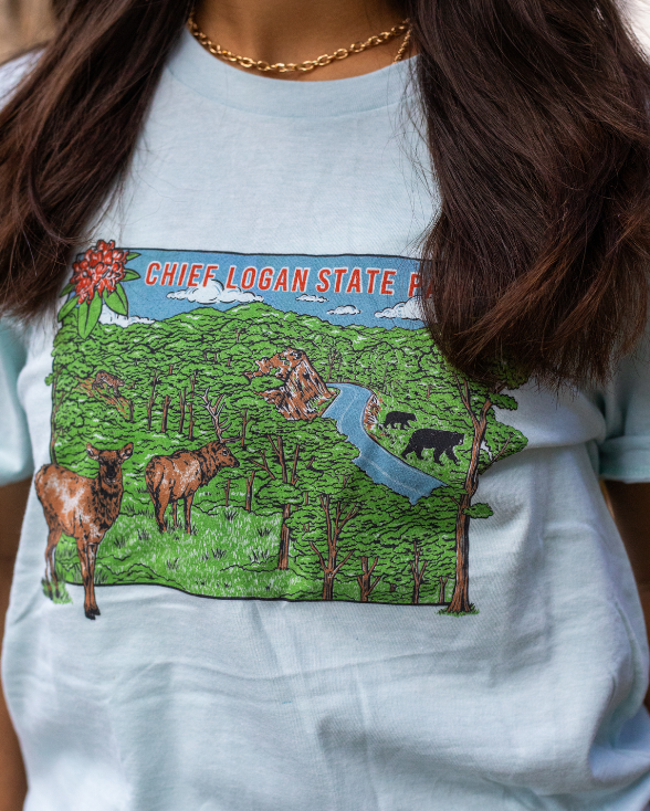 Chief Logan State Park Vintage T-shirt