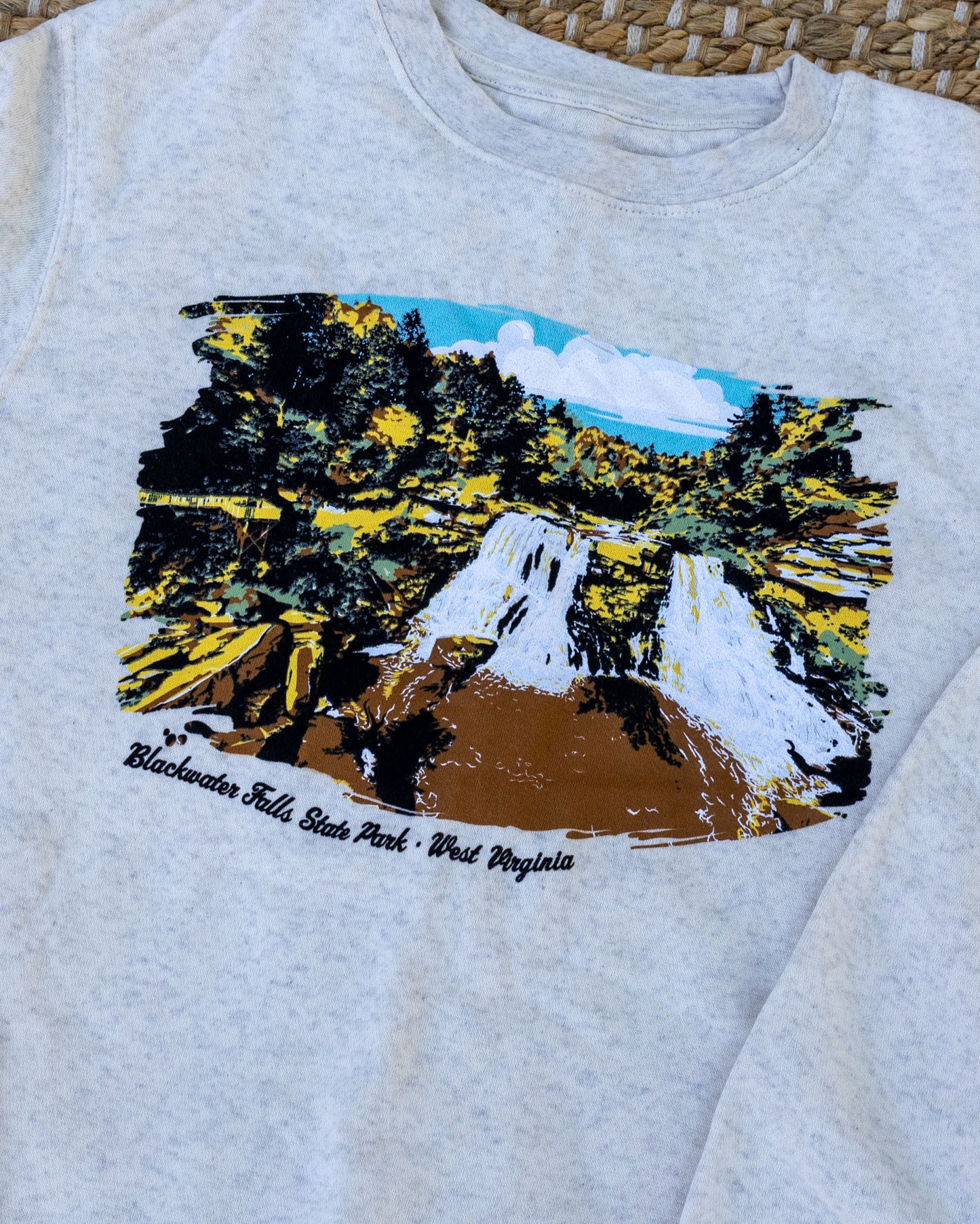 Blackwater Falls State Park Painted Crewneck Sweatshirt