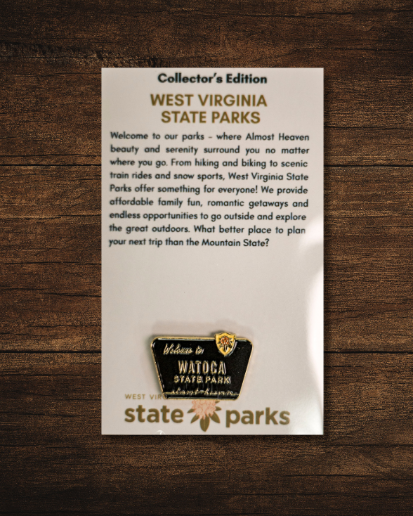 Welcome to State Park Pin