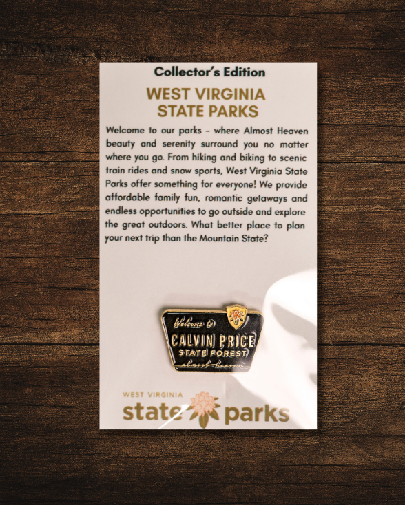 Welcome to State Park Pin