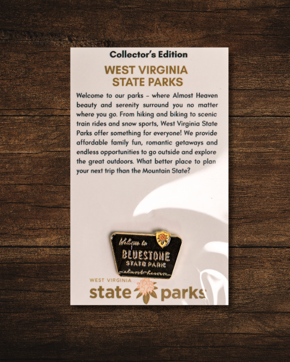 Welcome to State Park Pin