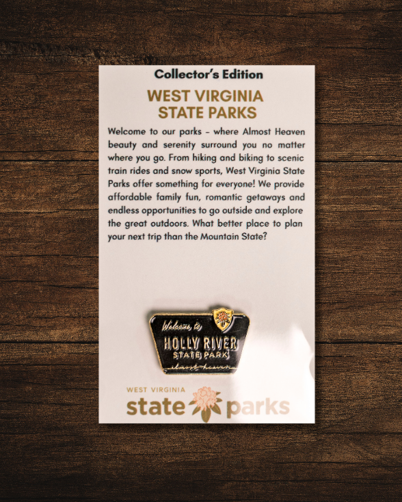 Welcome to State Park Pin