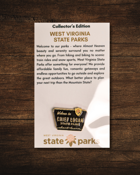 Welcome to State Park Pin