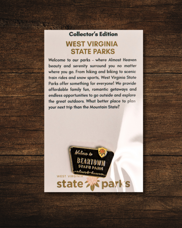 Welcome to State Park Pin