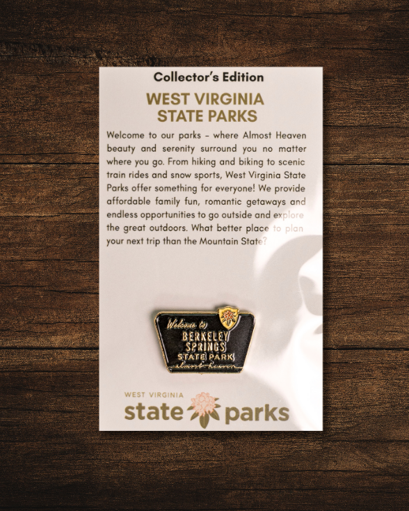 Welcome to State Park Pin