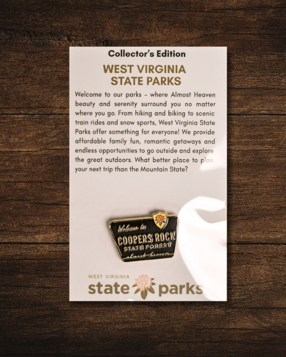 Welcome to State Park Pin