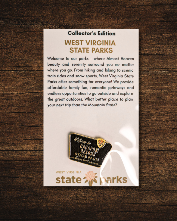 Welcome to State Park Pin