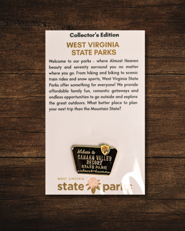 Welcome to State Park Pin