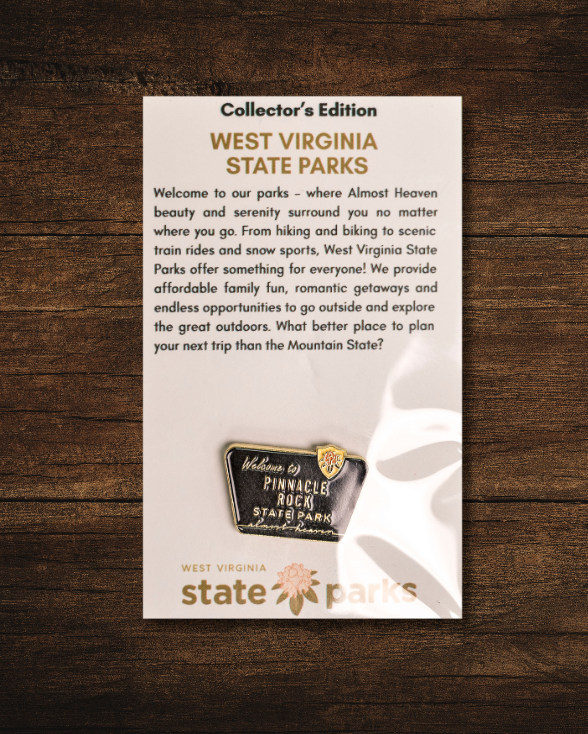 Welcome to State Park Pin