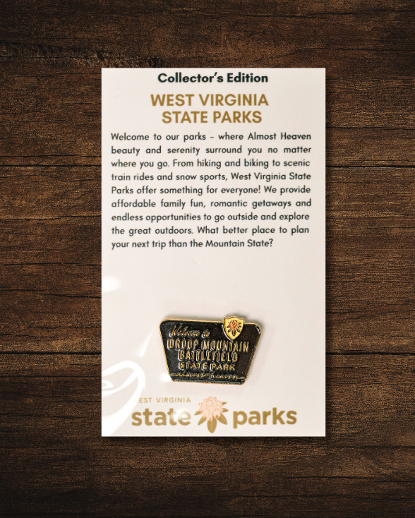 Welcome to State Park Pin