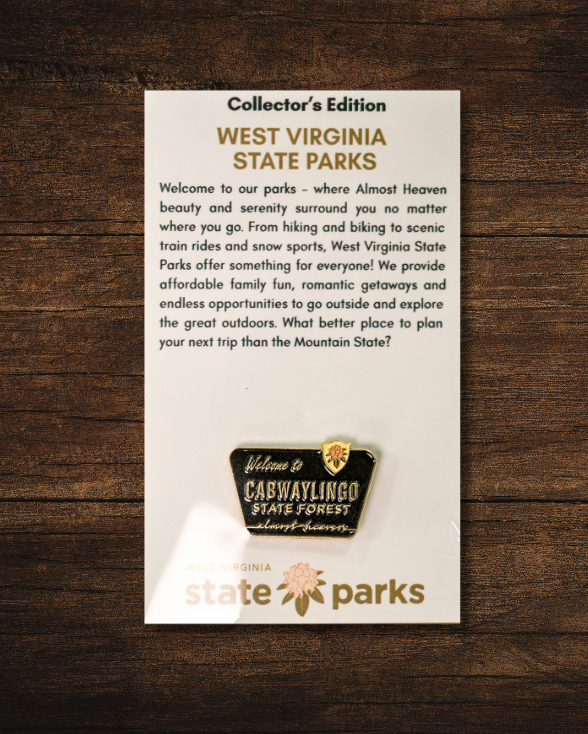 Welcome to State Park Pin