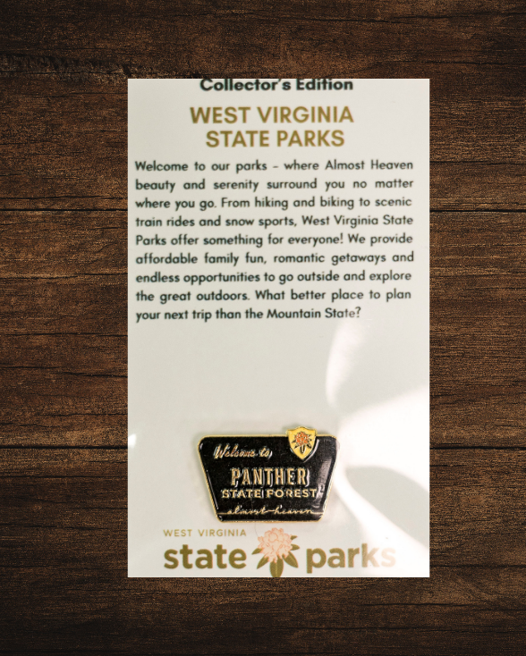 Welcome to State Park Pin