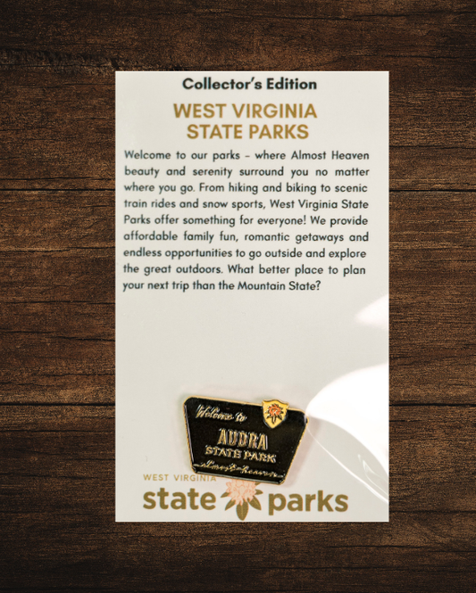 Welcome to State Park Pin