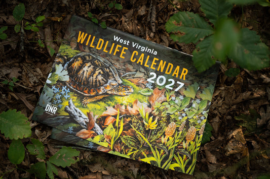 DNR Wildlife Calendar