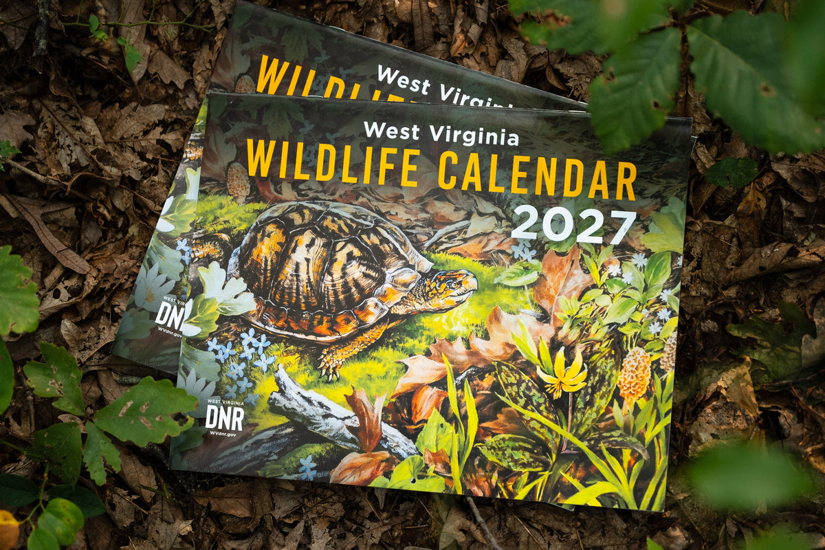 DNR Wildlife Calendar