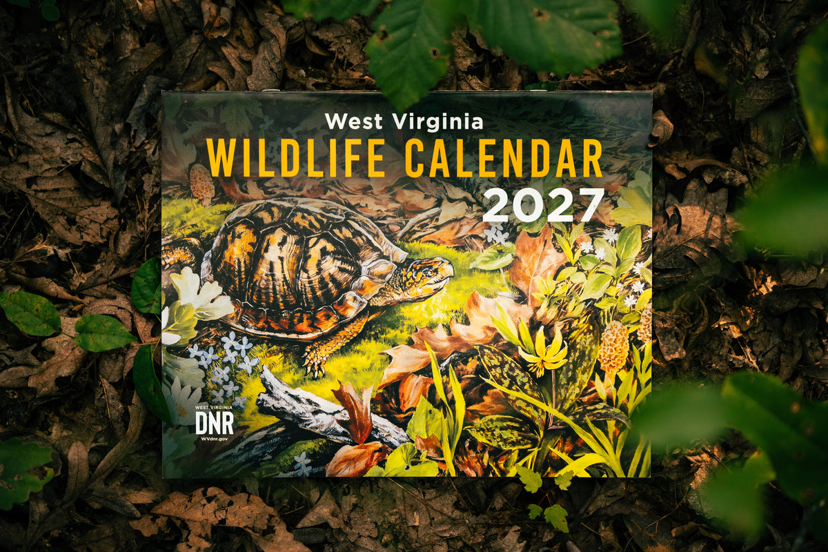 DNR Wildlife Calendar