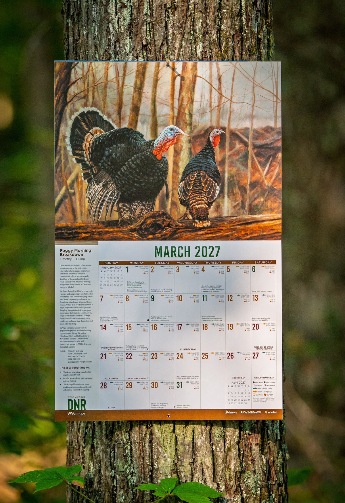 DNR Wildlife Calendar