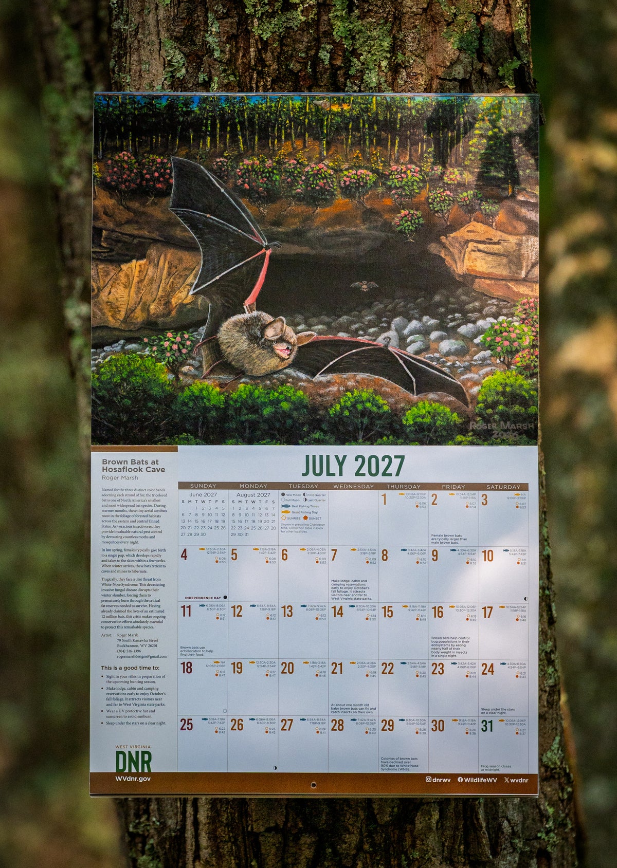 DNR Wildlife Calendar