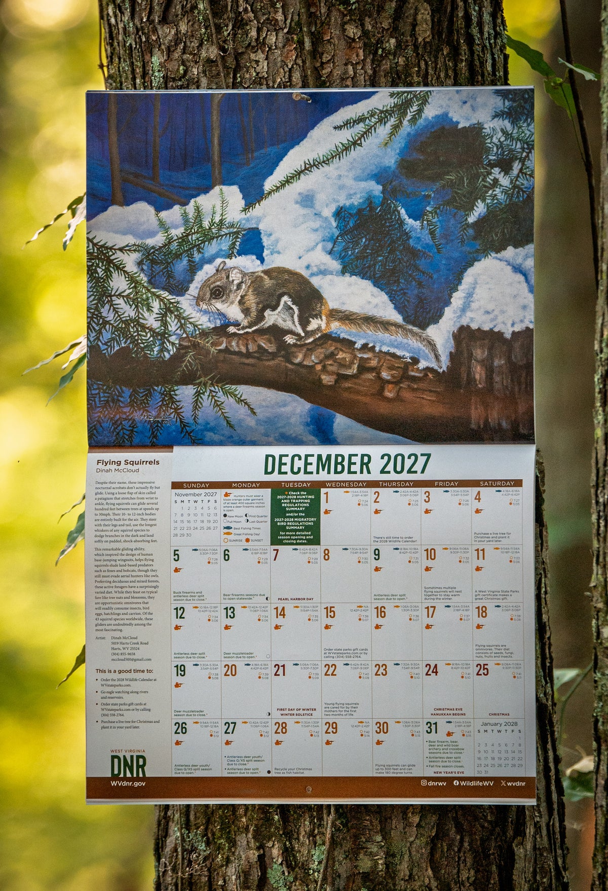 DNR Wildlife Calendar