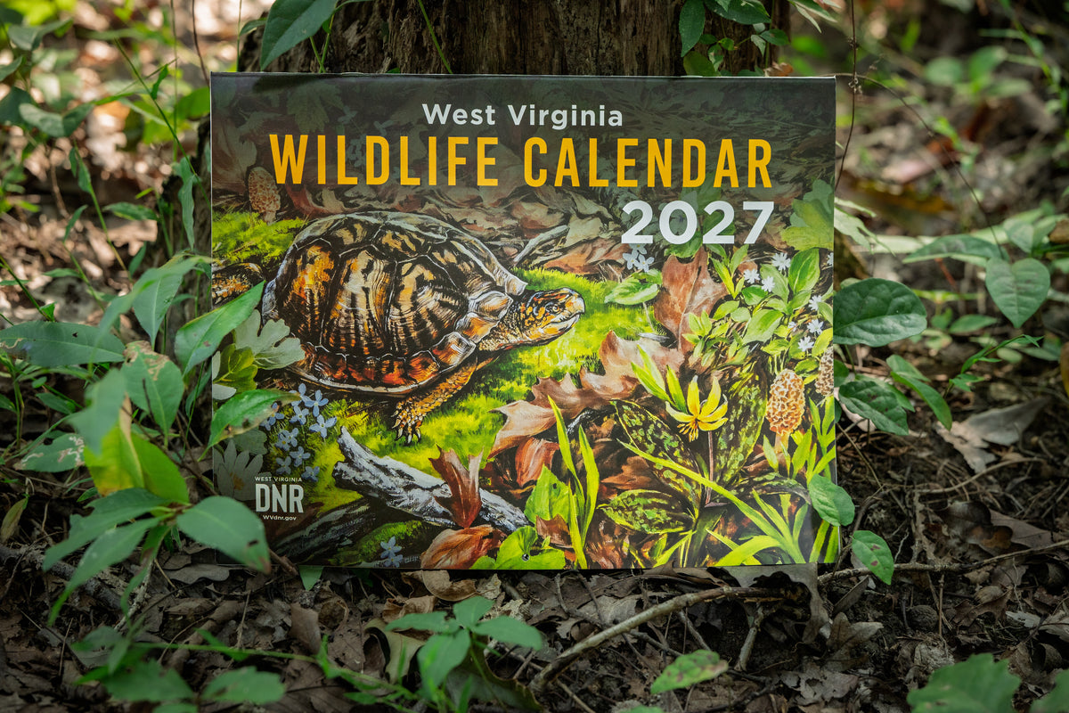 DNR Wildlife Calendar