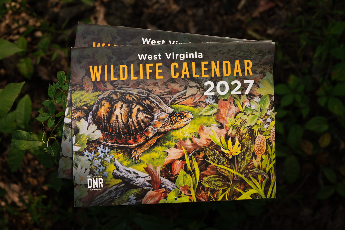 DNR Wildlife Calendar