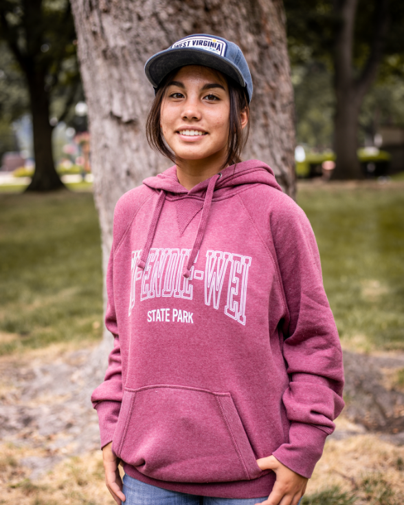 Tu-Endie-Wei State Park Hoodie