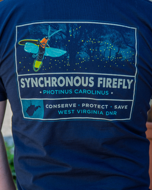 DNR Wildlife - Firefly Night Sky T-Shirt