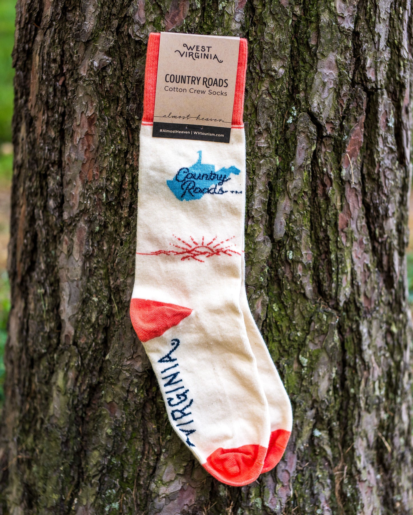 Country Roads Cotton Crew Socks