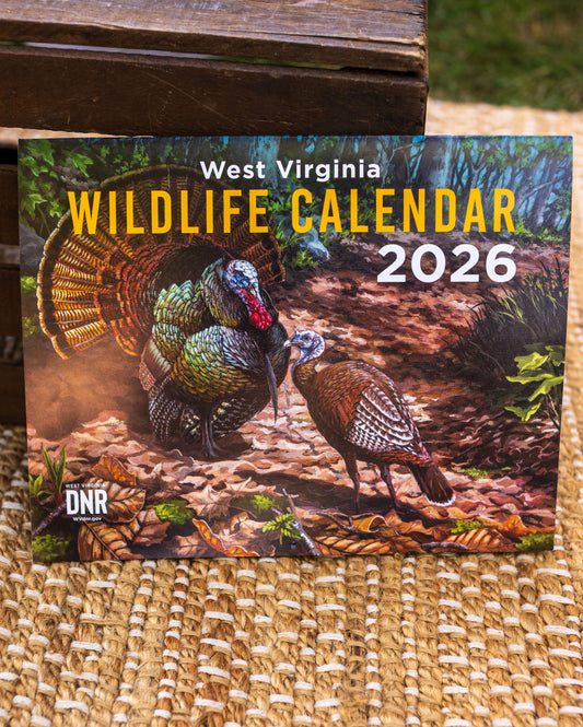 DNR Wildlife Calendar