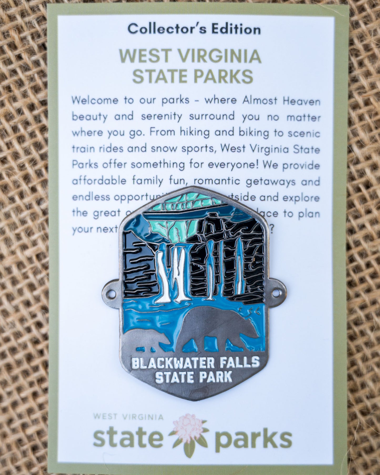 Blackwater Falls State Park Collector's Bear Edition Enamel Medallion